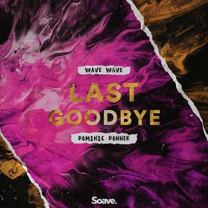 Last Goodbye