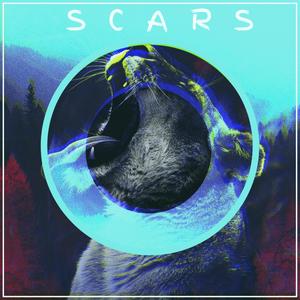 Scars