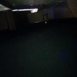 Lil Mosquito Disease - past memory (Explicit)