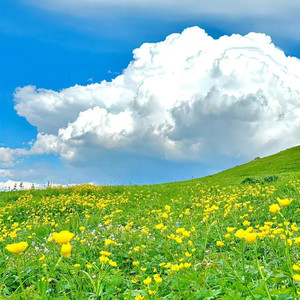 我还有点小糊涂（微醺R&B）