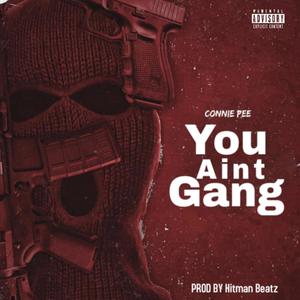 You Aint Gang (Explicit)