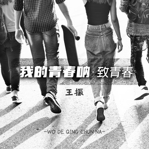 我的青春呐·致青春