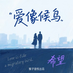 爱像候鸟
