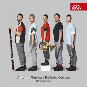 Wind Quintet in E Minor, Op. 88 No. 1 - No. 4, Finale. Allegro