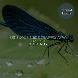 Sensuous Birds that Fly Away Happily - Nature Music