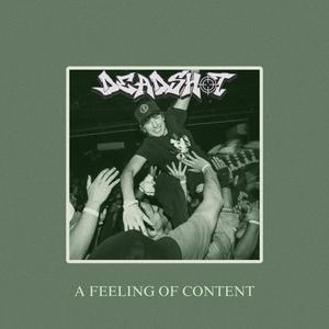 Stitch in My Side (feat. Missing Link & Dejected) (Explicit)