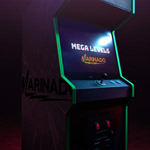 MEGA LEVELS