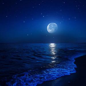 Moonlité (Explicit)