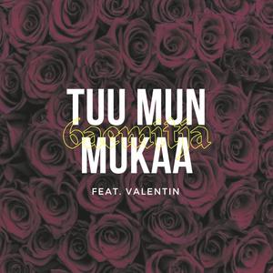 Tuu mun mukaa (feat. Valentin) (Explicit)