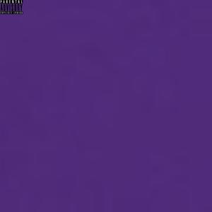 PURPLE (Explicit)