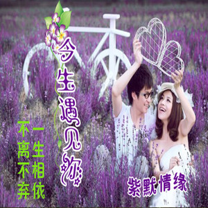 今生遇见你.紫默情缘