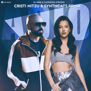 Adio (Cristi Nitzu & Synthcats Remix)