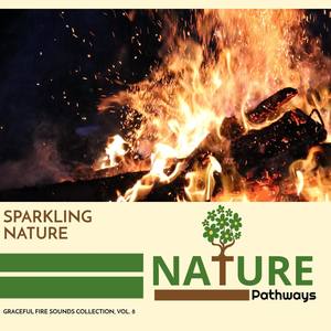 Sparkling Nature - Graceful Fire Sounds Collection, Vol. 8