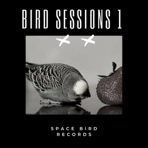 Bird Sessions 1