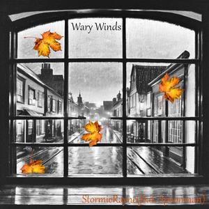 Wary Winds (feat. Spoonman)