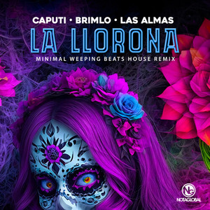 La Llorona (Minimal Weeping Beats House Remix)