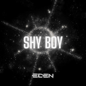 Shy Boy (DJ Eden Remix|Explicit)