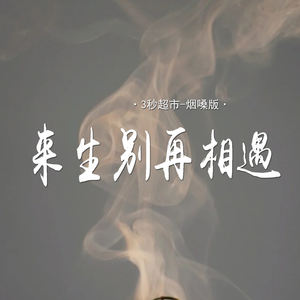 来生别再相遇 (烟嗓版)封面