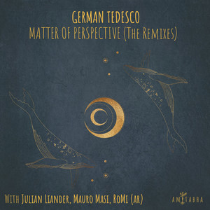 Matter of Perspective (Julian Liander, Mauro Masi Remix)