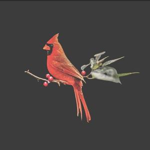 No Half Steppin'(feat. Rick Brown & Knarley Noso) (Explicit)