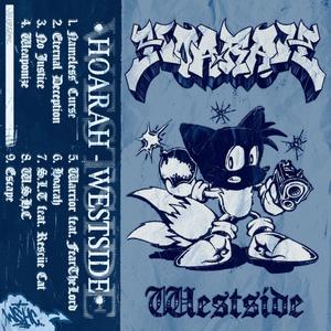 S.L.T. (feat. Rescüe Cat) (Explicit)