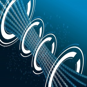 Where Dinasours Have Roamed