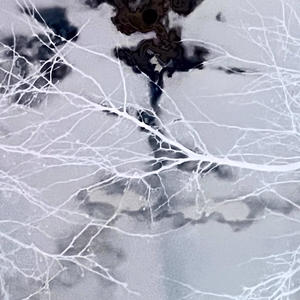 Down On The Floor (feat. CodeanX6)