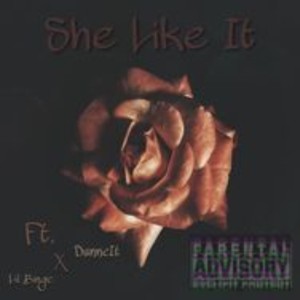 She Like It (feat. DunneIt & Lil Binge) [Explicit]