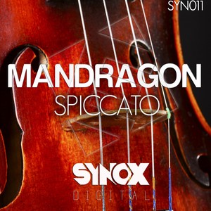 Spiccato (Original Mix)