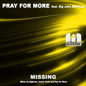 Missing (Junior Faria Remix)