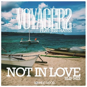 Not In Love (Blip Mix)