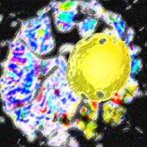 inside the sun (Explicit)