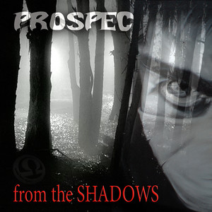 From The Shadows / Damager