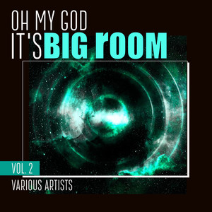 Oh My God It's Big Room, Vol. 2