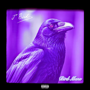 BIRD SLIDE (Explicit)