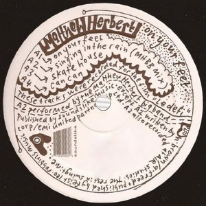 Matthew Herbert - the beauty of the dream vanish