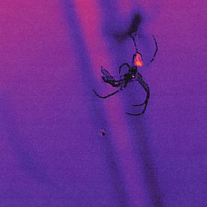 ɪꜰ ɪ ᴡᴀꜱ ᴛʜᴇ ꜱᴀᴍᴇ ᴘᴇʀꜱᴏɴ ɪ ᴡᴀꜱ ʏᴇꜱᴛᴇʀᴅᴀʏ ᴛʜɪꜱ ᴍɪʀʀᴏʀ ᴡᴏᴜʟᴅ ꜱʜᴀᴛᴛᴇʀ (feat. KUZEKU) (Explicit)