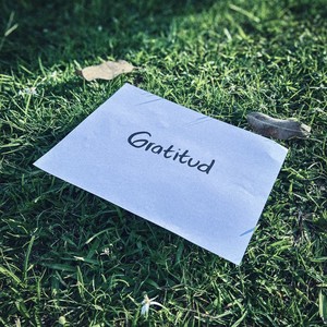 Gratitud