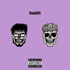 Used2it (feat. ruexan) [Explicit]