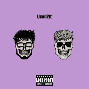 Used2it (feat. ruexan) (Explicit)