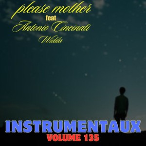 instrumentaux vol.135