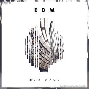 EDM New Wave 5 (Radio Edits)