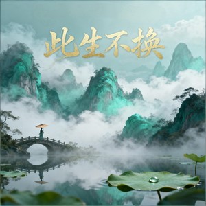 大力飞砖 - 此生不换 (大力版)