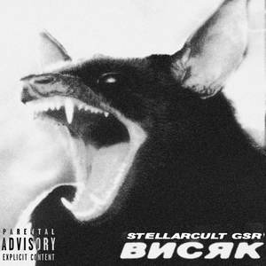 ПОДСЕЛ НА ЧТО-ТО (Explicit)