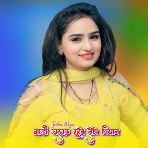 गाड़ी चलाऊ रहवे तोपे धियान