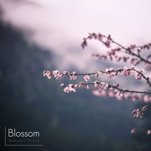 Blossom -Melodic Place-