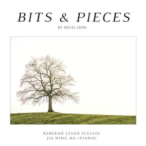 Nigel Don: Bits & Pieces