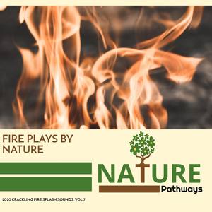 Fire Plays By Nature - 2020 Crackling Fire Splash Sounds, Vol.7