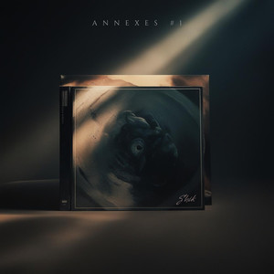 ANNEXES #1 (Explicit)