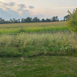 Waiting for your touch (Explicit)